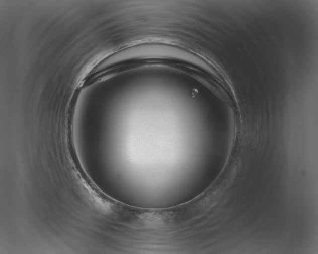 X0000078270898200611031139
