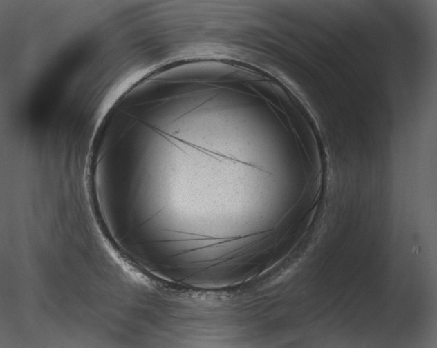X0000078270901200611031139