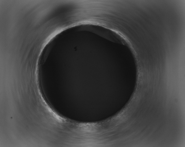 X0000078270902200611031139