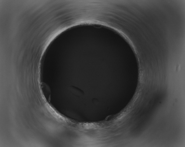 X0000078270903200611031139