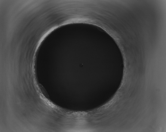 X0000078270912200611031139