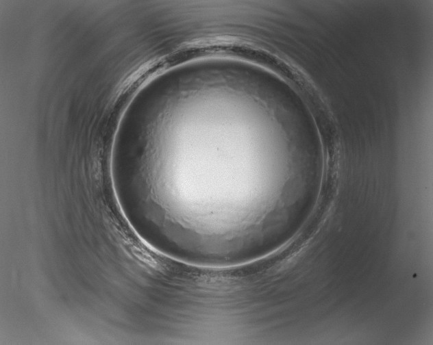 X0000078270921200611031138