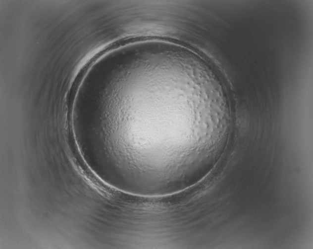 X0000078270933200611031139