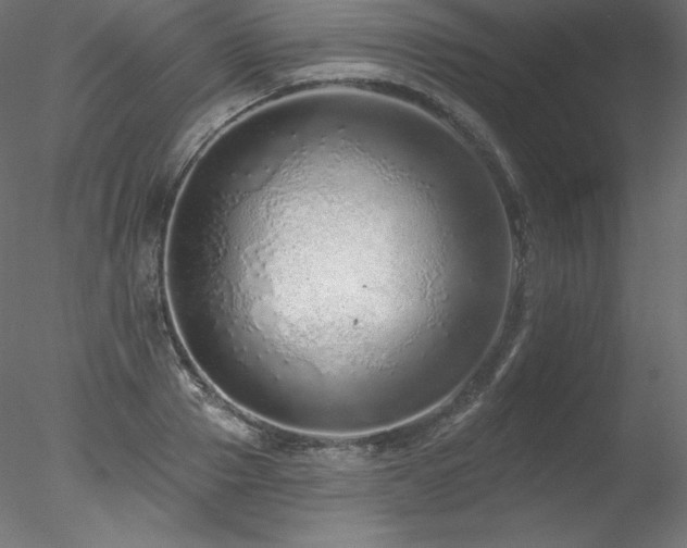 X0000078270937200611031139