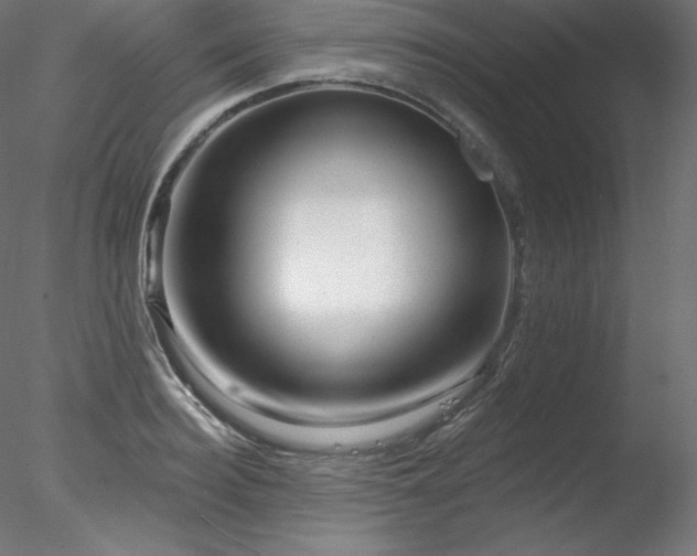 X0000078270940200611031139