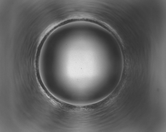 X0000078270943200611031139