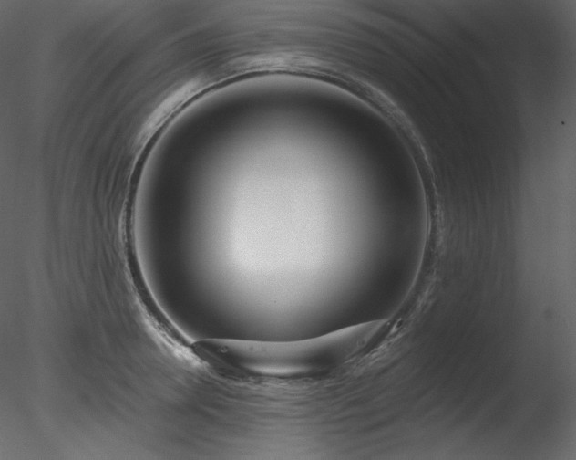 X0000078270946200611031139