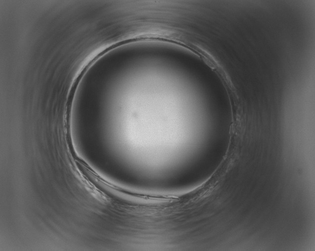 X0000078270948200611031139