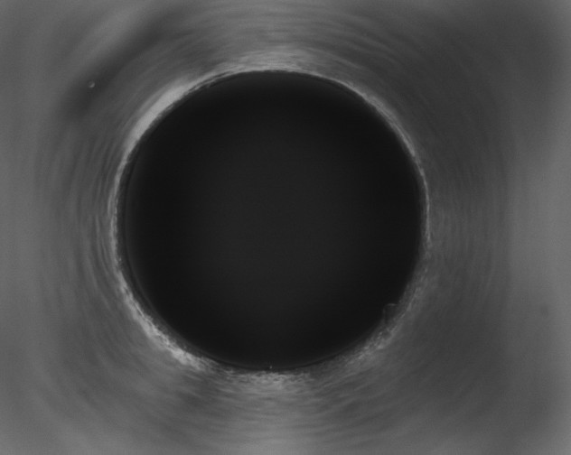 X0000078270949200611031139