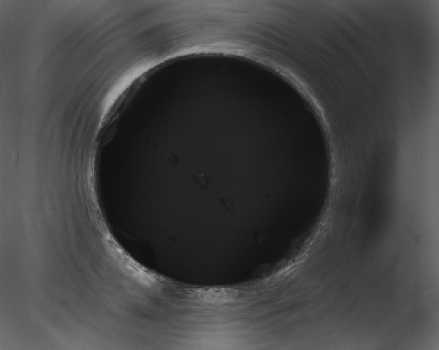 X0000078270952200611031139