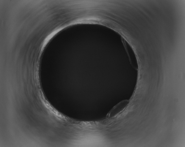 X0000078270960200611031139