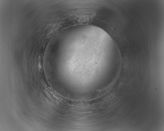 X0000078270962200611031138