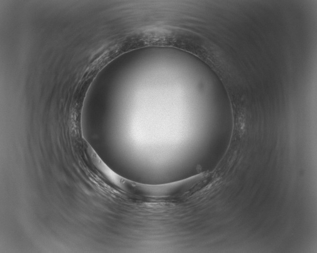 X0000078270964200611031138