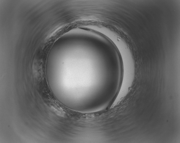 X0000078270968200611031138