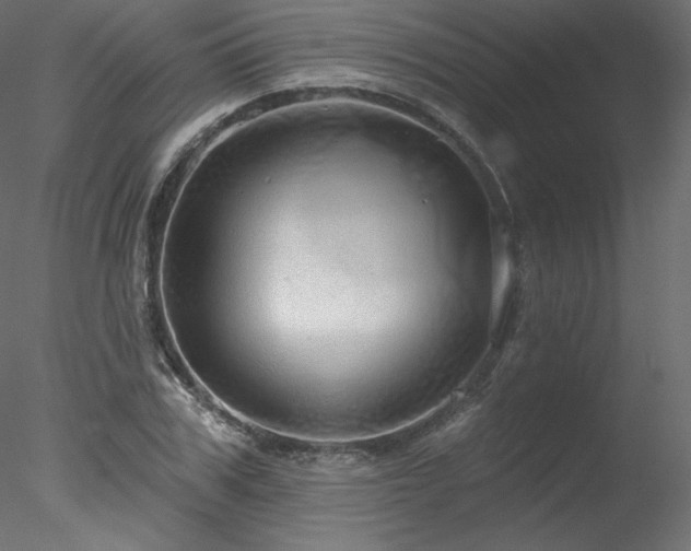 X0000078270979200611031138