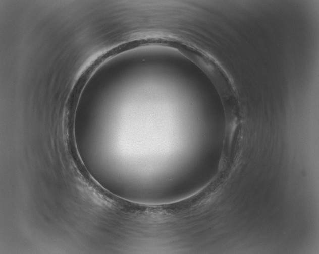 X0000078270983200611031138