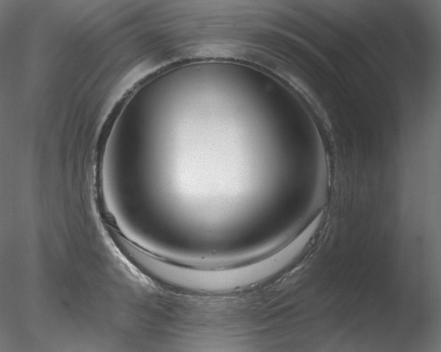 X0000078270992200611031138