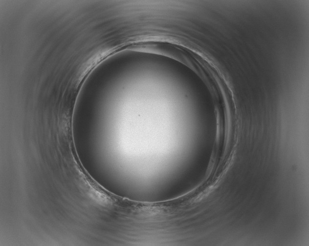 X0000078270993200611031138