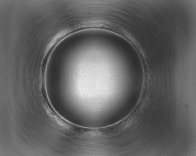 X0000078270994200611031138