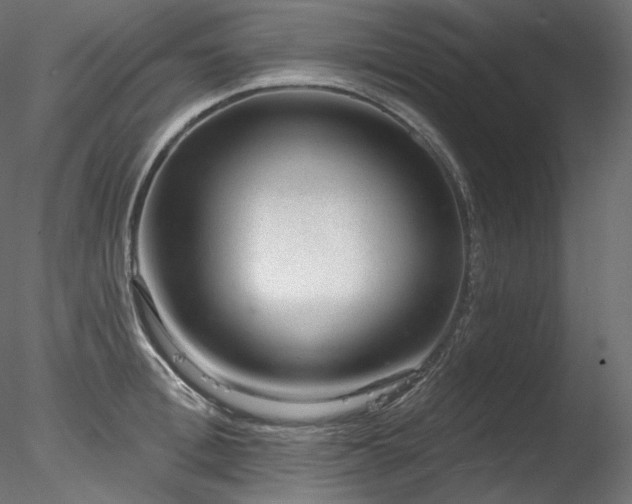 X0000078270996200611031138