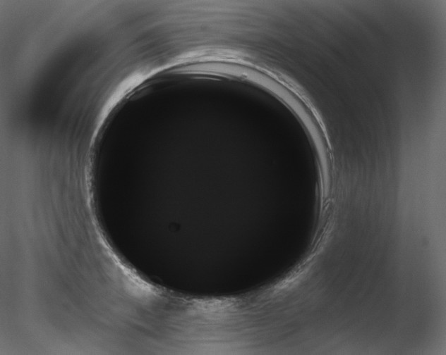 X0000078270997200611031138