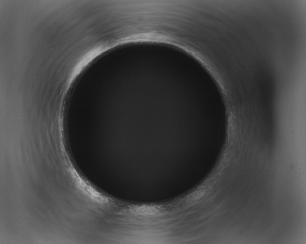 X0000078270998200611031138