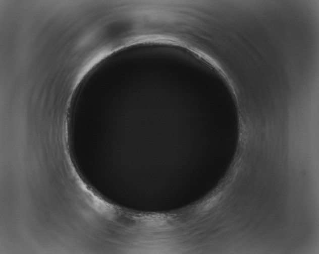 X0000078270999200611031138