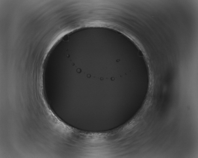 X0000078271000200611031138
