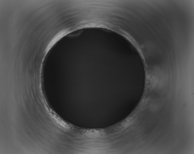 X0000078271002200611031137