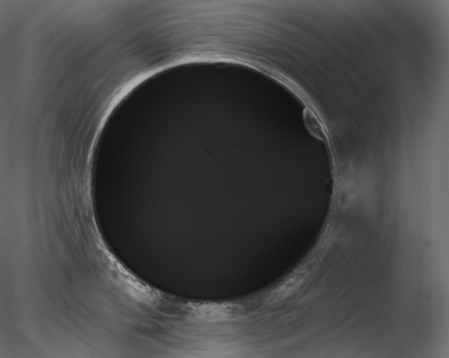 X0000078271004200611031137