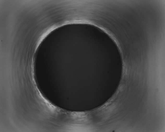 X0000078271006200611031137