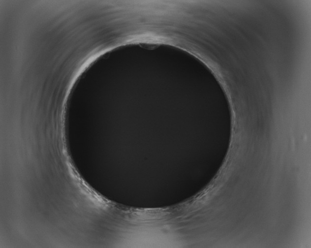 X0000078271008200611031137