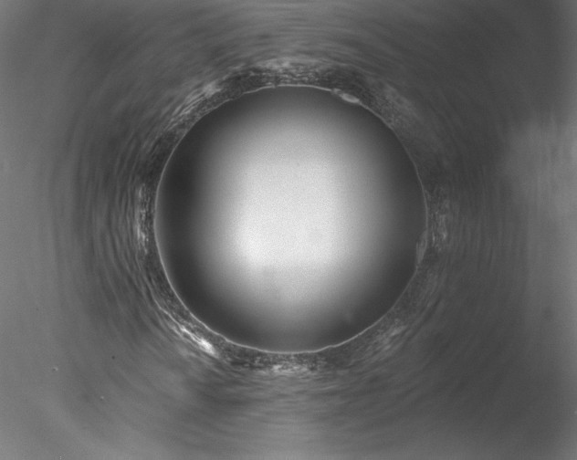 X0000078271010200611031137