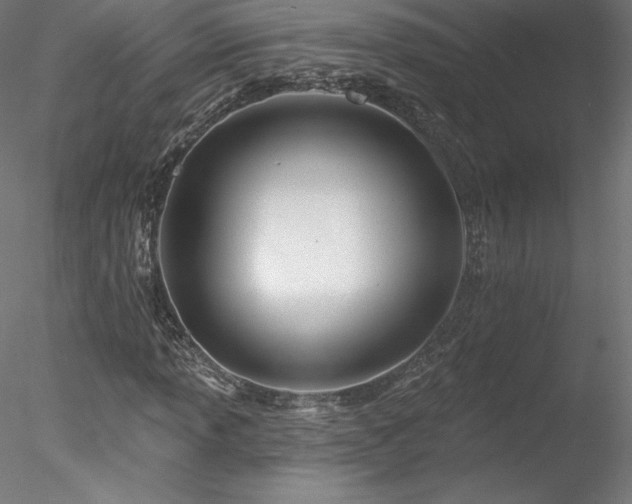 X0000078271013200611031137