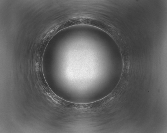 X0000078271014200611031137