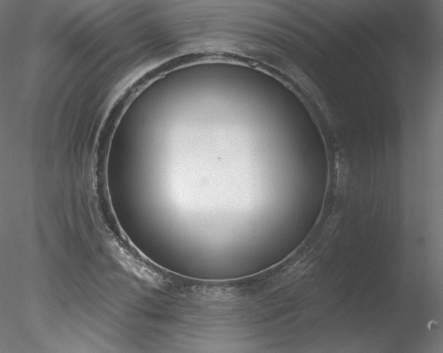 X0000078271020200611031137