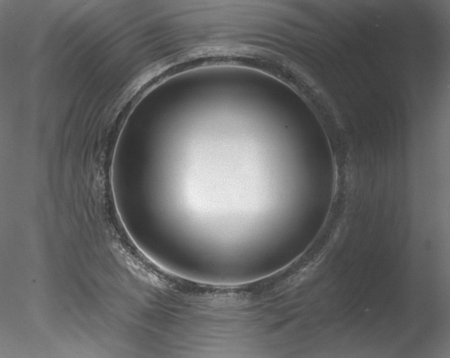 X0000078271025200611031137