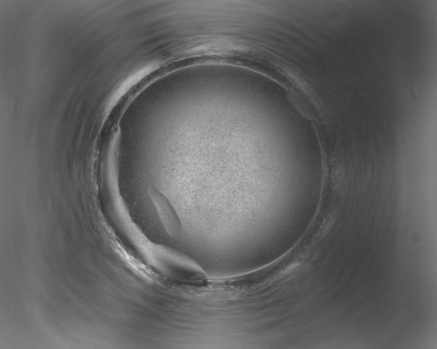 X0000078271026200611031137