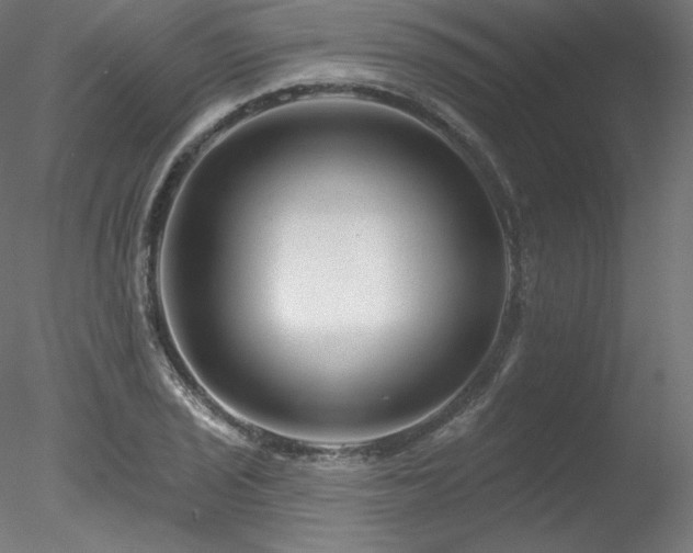 X0000078271029200611031137