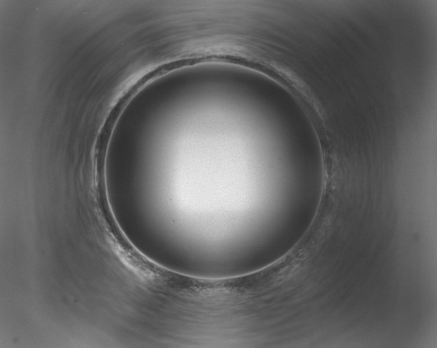 X0000078271031200611031137