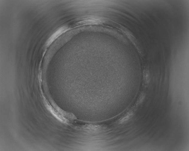 X0000078271034200611031137