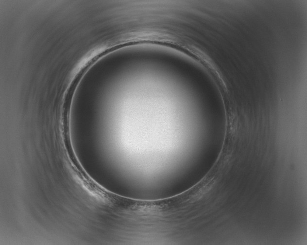 X0000078271043200611031137