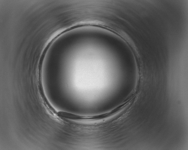 X0000078271044200611031137