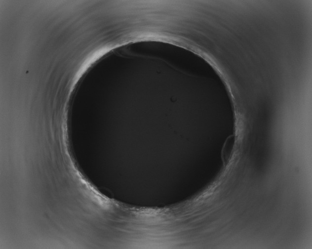 X0000078271048200611031137