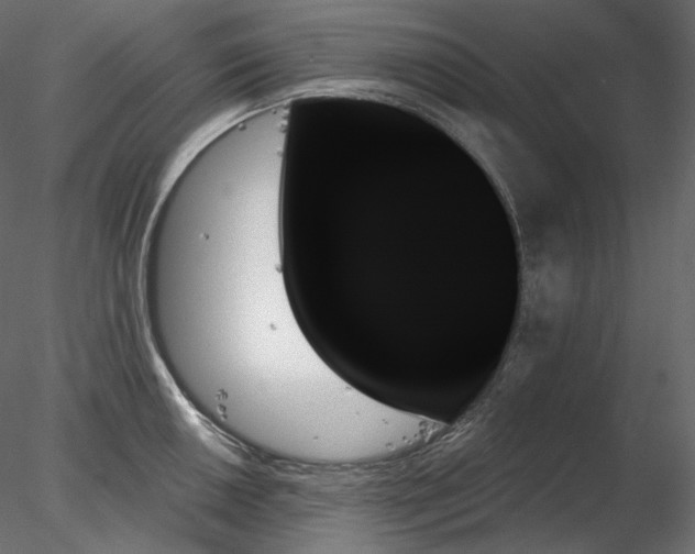 X0000078271050200611031137