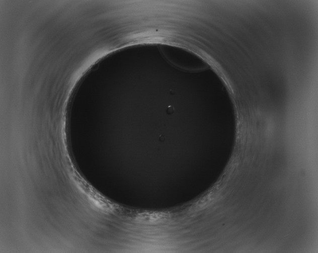X0000078271051200611031137