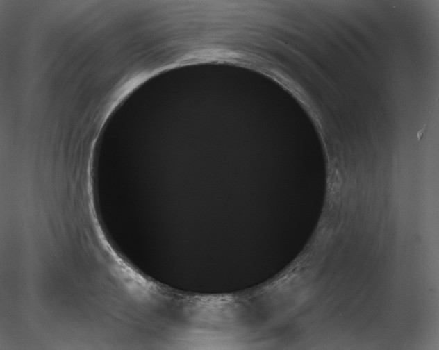 X0000078271055200611031137