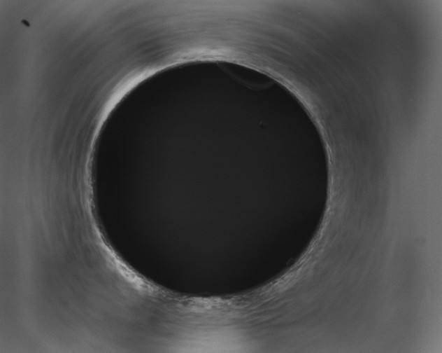 X0000078271056200611031137