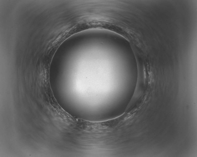 X0000078271061200611031137