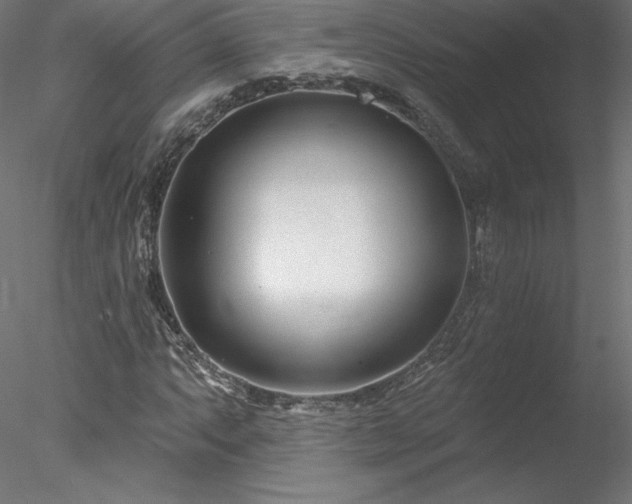X0000078271063200611031136